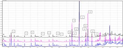 Sex hormone-binding globulin improves lipid metabolism and reduces inflammation in subcutaneous adipose tissue of metabolic syndrome-affected horses